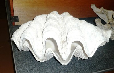 Lot 1285 - Giant Clam (Tridacna gigas), circa 1930, two halves of one clam, 50cm wide