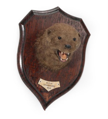 Lot 86 - Taxidermy: A Eurasian Otter Mask (Lutra lutra), circa 1943, by Rowland Ward, 166 Piccadilly,...