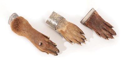 Lot 89 - Taxidermy: Antique Eurasian Otter Paws (Lutra lutra), circa early 20th century, three various sized