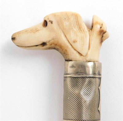 Lot 95 - Sporting: A Malacca Riding Crop Whistle, the antler pommel carved as a dogs head with whistle, with