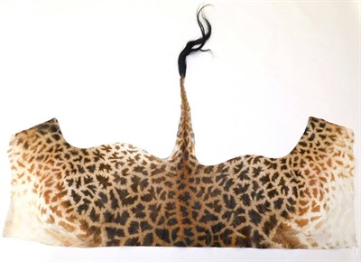 Lot 96 - Hides/Skins: Southern Giraffe Flank Skin (Giraffa giraffa), modern, a full flank skin with complete