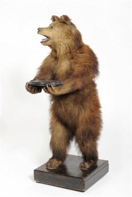Lot 1288 - Black Bear (Ursus americanus), circa 1890, full mount, in anthropomorphic pose holding an...