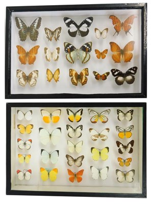 Lot 101 - Entomology: A Pair of Glazed Displays of African, Asian and World Butterflies, circa 21st...
