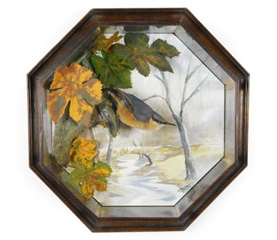 Lot 107 - Taxidermy: An Octagonal Wall Cased Nuthatch (Sitta europaea), circa 2009, by A.J. Armitstead,...