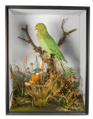 Lot 116 - Taxidermy: A Cased Indian Ringneck Parakeet and Common Kingfisher, by T.E. Gunn, 86 St Giles...