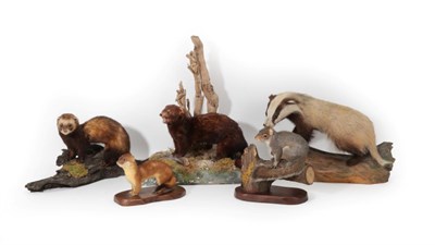 Lot 156 - Taxidermy: A Collection of European Countryside Animals, circa late 20th Century, by J....