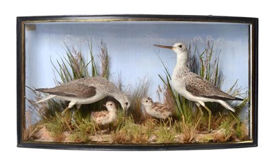 Lot 176 - Taxidermy: A Cased Diorama of Marsh Sandpipers (Tringa stagnatilis), by John Cooper, 28 Radnor...