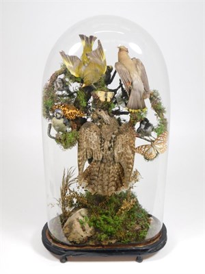 Lot 186 - Taxidermy: A Victorian Diorama Display of European Birds, circa 1880-1900, a diorama display of...