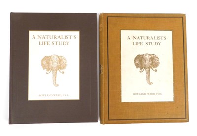 Lot 197 - Books: Ward, Rowland A Naturalist's Life Study. Rowland Ward Ltd., 1913. 4to, org. cloth, upper...