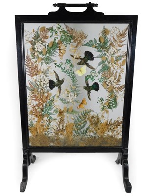 Lot 204 - Taxidermy: An Edwardian Humming Bird Diorama Firescreen, three full mount Humming Birds in...