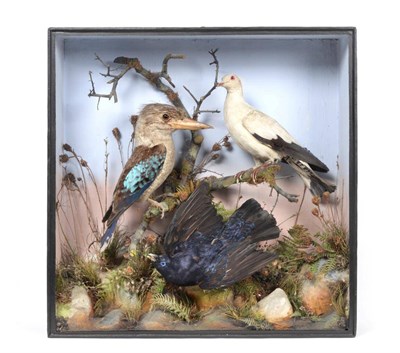 Lot 223 - Taxidermy: A Victorian Cased Diorama of Australian and South East Asian Birds, by James...