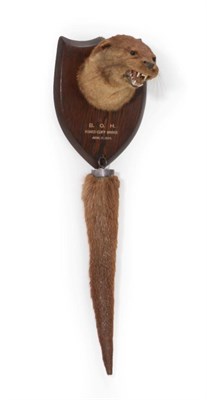 Lot 237 - Taxidermy: A Eurasian Otter Mask and Tail Rudder (Lutra lutra), circa April 17th 1937, by...