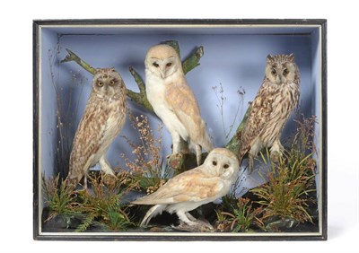 Lot 266 - Taxidermy: A Late Victorian Cased Diorama of Owls, by W. Lowne, Naturalist, Fullers Hill, Aviaries