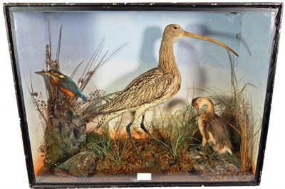 Lot 315 - Taxidermy: A Cased Diorama of British Birds, circa 1900, to include - Common Kingfisher,...