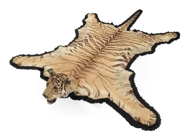 Lot 327 - Taxidermy: Tiger Skin (Panthera tigris tigris), by Van Ingen & Van Ingen, Mysore, India, No...