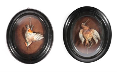 Lot 337 - Works of Art: A Pair of Wall Cased Austrian Painted Porcelain Birds, a painted Woodcock mounted...