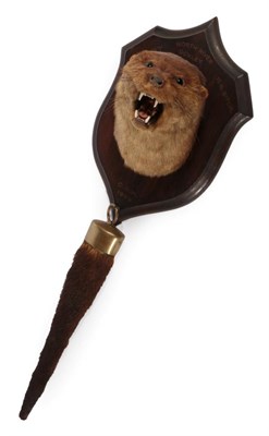 Lot 338 - Taxidermy: A Eurasian Otter Mask and Tail Rudder (Lutra lutra), circa April, 18th, 1925, by Rowland