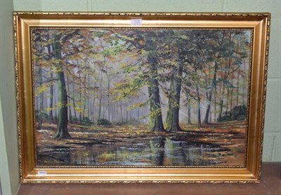 Lot 1105 - Stanley Dollimore (20th century) Woodland scene, oil on canvas