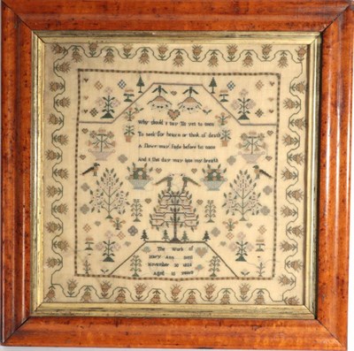 Lot 2099 - 19th Century Scottish Sampler, Worked by Mary Ann Sims, Aged 10 Years, Dated November 30 1925,...