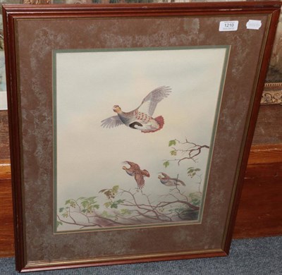Lot 1210 - R W Milliken, Partridges in flight, watercolour, signed lower right