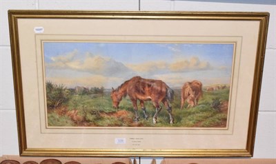 Lot 1234 - Alfred Perry (EX 1847-1841), Horses, watercolour