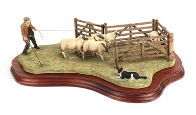 Lot 6 - Border Fine Arts 'Anxious Moment' (Penning Sheep), model No. B0584 by Ray Ayres, limited...