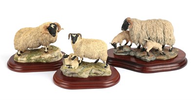 Lot 12 - Border Fine Arts 'Blackfaced Ewe and Lambs' (Style One), model No. L25 by Mairi Laing Hunt, limited