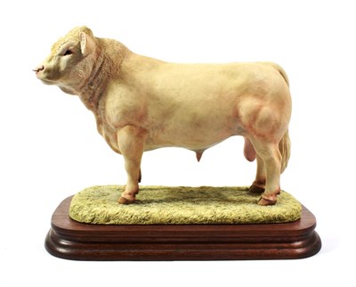 Lot 20 - Border Fine Arts 'Charolais Bull' (Style One), model No. L112 by Ray Ayres, limited edition...