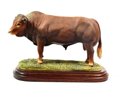 Lot 54 - Border Fine Arts 'Limousin Bull' (Style One), model No. L32 by Anne Wall, limited edition 217/1500