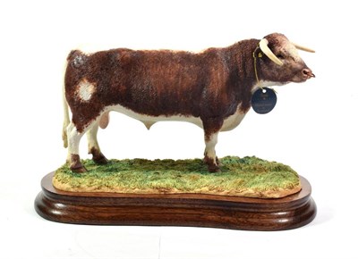 Lot 55 - Border Fine Arts 'Longhorn Bull', model No. B1138 by Ray Ayres, limited edition 155/500, on...