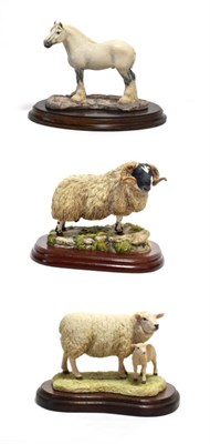 Lot 72 - Border Fine Arts 'Shire Gelding', model No. 126B by Anne Wall; 'Blackfaced Tup' (Style Two),...