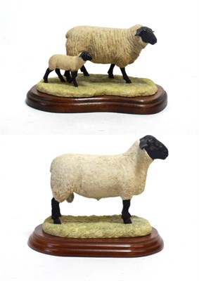Lot 81 - Border Fine Arts 'Suffolk Ewe and Lamb', model No. 119 by Ray Ayres and 'Suffolk Tup' (Style...