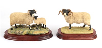 Lot 82 - Border Fine Arts 'Swaledale Tup' (Monarch of the Dales), model No. L148, limited edition...