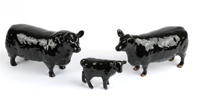 Lot 112 - Beswick Cattle Comprising: Aberdeen Angus Bull, model No. 1562, Aberdeen Angus Cow, model No....