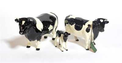 Lot 116 - Beswick Cattle Comprising: Friesian Bull Ch. ''Coddington Hilt Bar'', model No. 1439A, Friesian Cow