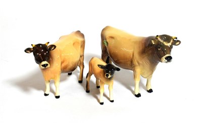 Lot 125 - Beswick Cattle Comprising: Jersey Bull Ch. ''Dunsley Coy Boy'', model No. 1422, Jersey Cow Ch....