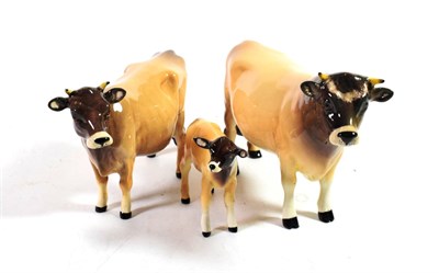 Lot 127 - Beswick Cattle Comprising: Jersey Bull Ch.''Dunsley Coy Boy'', model No. 1422, Jersey Cow Ch....