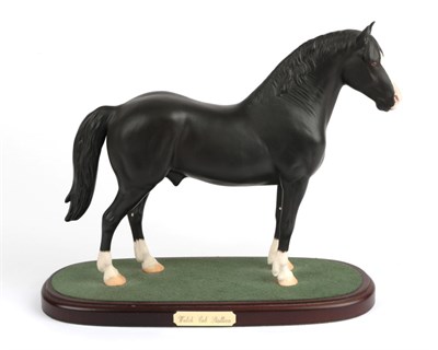 Lot 132 - Beswick Connoisseur Welsh Cob Stallion, model No. A270, black matt, on wooden plinth