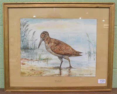 Lot 1124 - D M & E M Alderson (20th century) ''Woodcock'', signed and dated 1981, watercolour