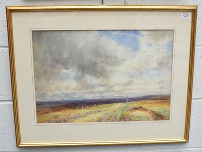 Lot 1220 - T Robertson (20th century) Sheep in moorland, signed indistinctly, watercolour, 38cm by 55cm