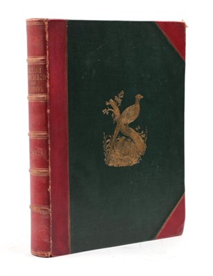 Lot 255 - Morris, Beverley Robinson British Game Birds and Wildfowl. Groombridge and Sons, 1855. 4to,...