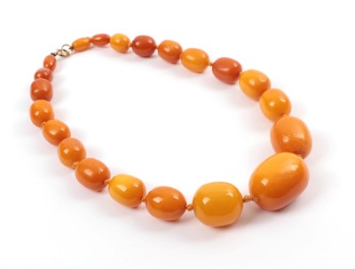 Lot 141 - An Amber Bead Necklet, of 21 graduated barrel shaped beads, with variations in colour from...
