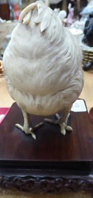 Lot 624 - A Japanese Ivory Model of a Chicken, Meiji period, naturalistically modelled standing on a hardwood