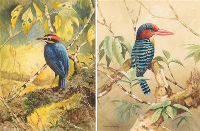 Lot 1012 - Martin Woodcock (1935-2019) African Pygmy Kingfisher Signed, gouache, together with two further...