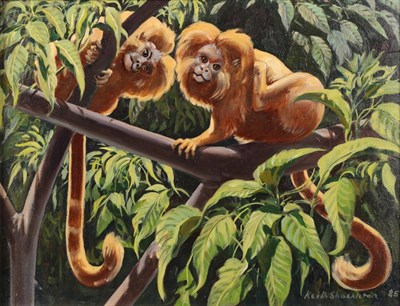 Lot 1013 - Keith Shackleton MBE (1923-2015) Lion Tamarins Signed and dated (19)85, oil on board, 34cm by...