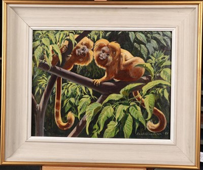Lot 1013 - Keith Shackleton MBE (1923-2015) Lion Tamarins Signed and dated (19)85, oil on board, 34cm by...