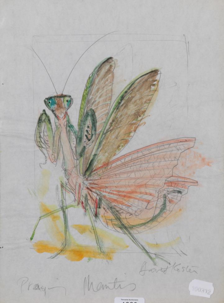 Lot 1020 - David Koster (1926-2014) Praying Mantis Signed and inscribed, pencil and watercolour, 38cm by...