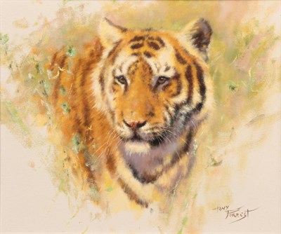 Lot 1149 - Tony Forrest (b.1961) Tiger Signed, oil on canvas, 23.5cm by 28.5cm   Artist's Resale...
