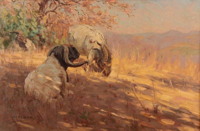 Lot 1150 - Edgar H Fischer (fl.1908-1933) Boer Goats Grazing Signed, oil on canvas, 33cm by 51cm