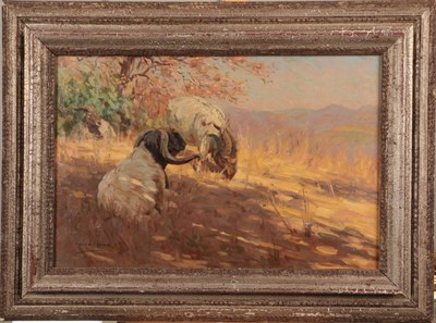 Lot 1150 - Edgar H Fischer (fl.1908-1933) Boer Goats Grazing Signed, oil on canvas, 33cm by 51cm